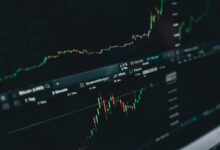 entrepreneurial financial insights guide