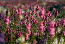 hilarious comments for selfies