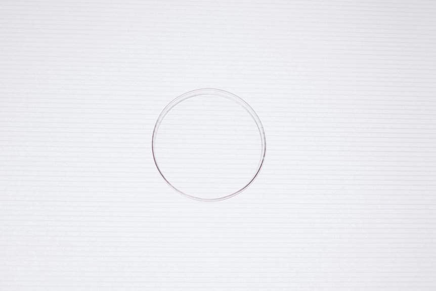 rice purity test 2024