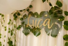 teck lokesh website link