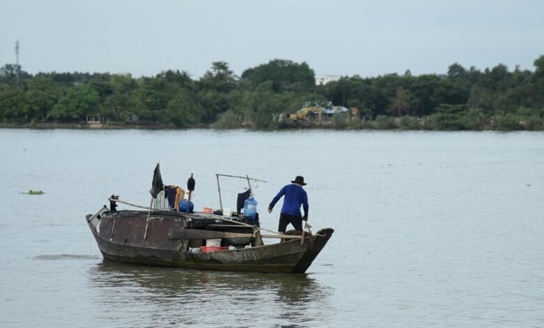 global business expansion numbers