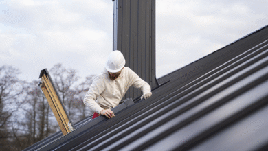 5 Roof Maintenance Tips for Homeowners to Follow