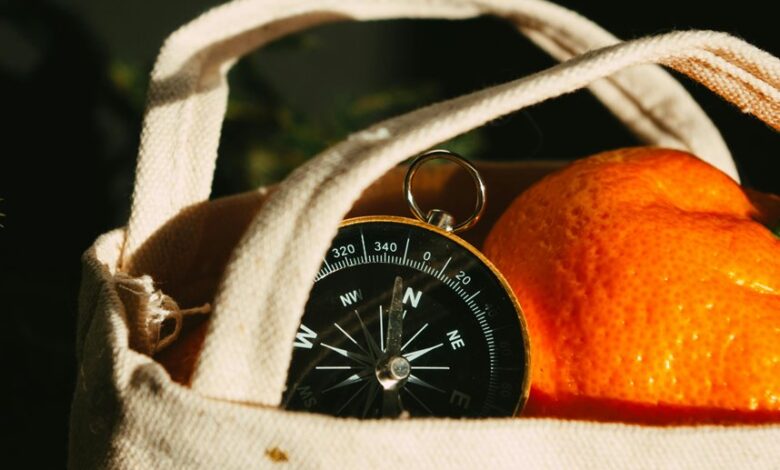 market trends and analysis