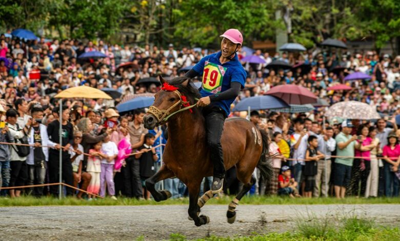 market analysis and competition