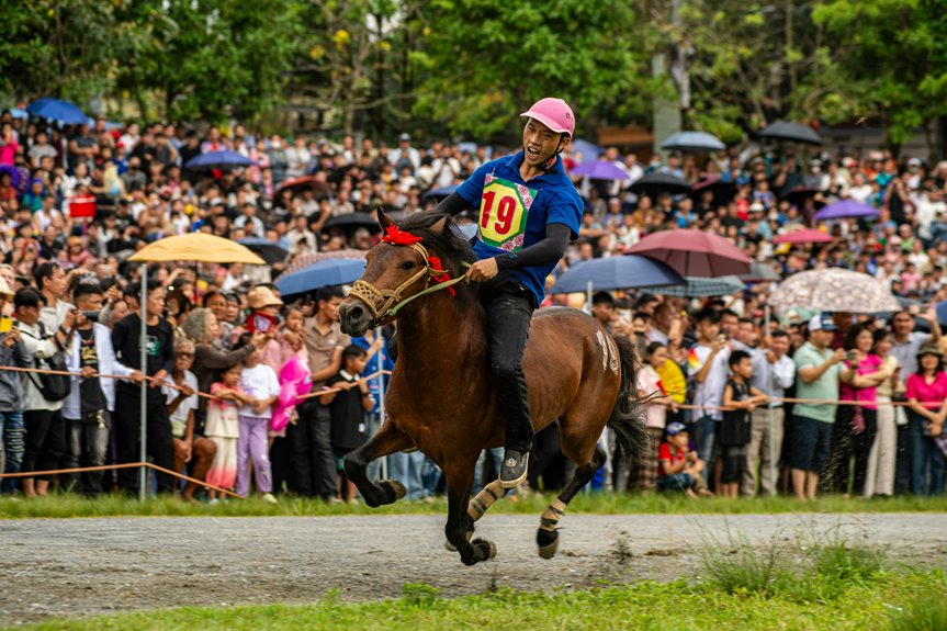 market analysis and competition