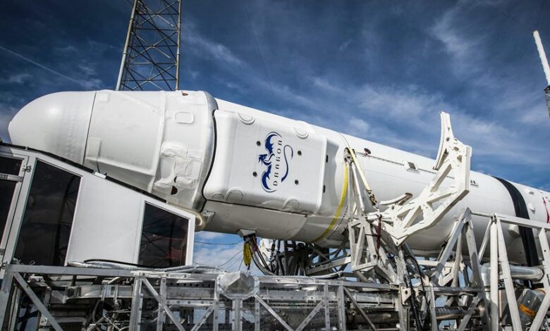 online service development platform